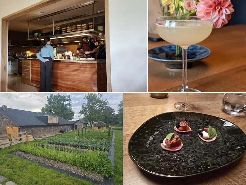Food and dining at Ryn